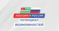Председатель Русской общины Абхазии призвал урегулировать ситуацию с выдачей паспортов РФ в Абхазии