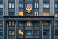 В Госдуме РФ объяснили запрет с 2026 года на выезд детей без загранпаспорта